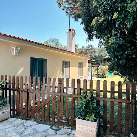Casa Girassol With A Beautiful Private Pool And Garden Villa Sintra Exterior foto